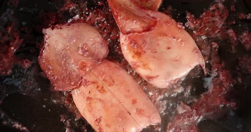 Pale Squid Frying in a Pan