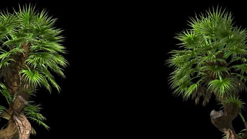 Animated Tropical Palm Trees Swaying in Breeze