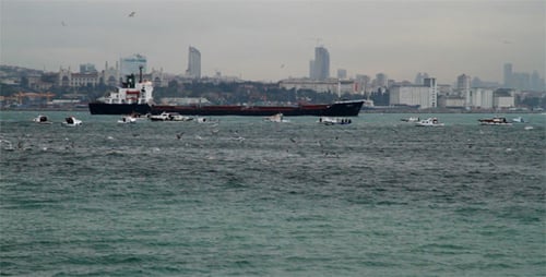 Coastal Cityscape with Boats Traveling on Water