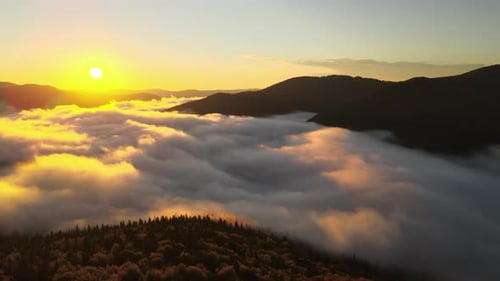 Aerial View of Amazing Scenery with Foggy Dark Mountain Forest Pine Trees at Autumn Sunrise