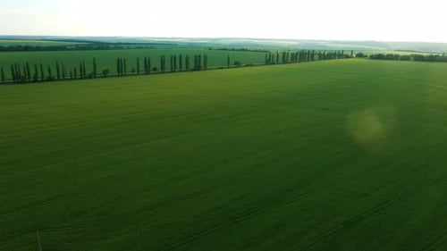Aerial View Of Green Fields