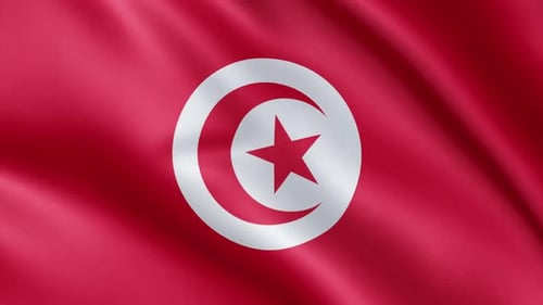 Tunisian Flag Waving Background Animation