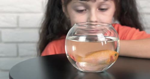 Girl by round aquarium.