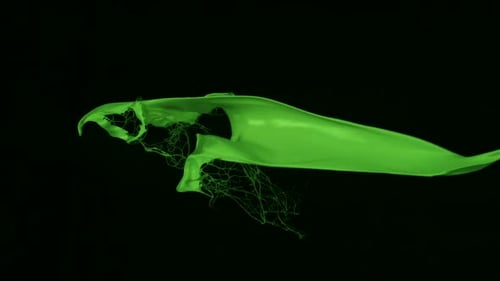 Abstract Green Paint Splash on Black Background