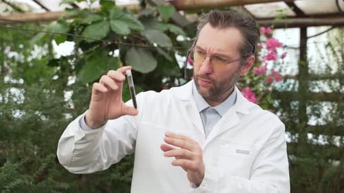 Scientist Takes the Soil for Seedlings for Analysis
