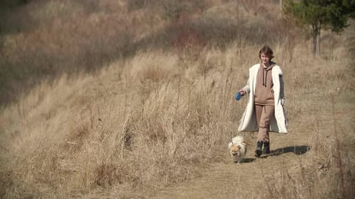 A Girl is Walking with White and Red Colored Pomeranian Spitz in Spring Field