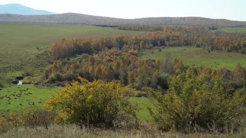 Scenic Autumn Landscape with Green Fields and Hills
