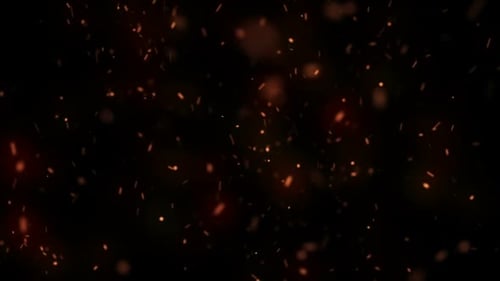 Floating Fire Sparks and Embers Overlay