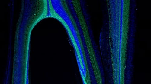 Abstract Blue and Green Motion Graphic