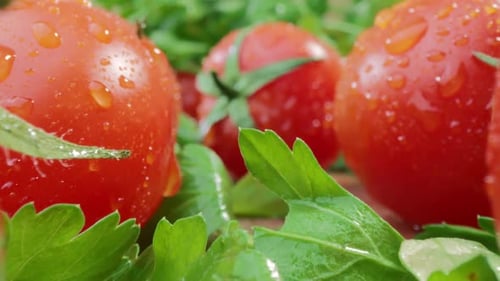 Fresh Cherry Tomatoes and Parsley Macro Shot