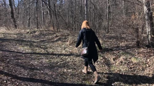 Slow motion of modern woman leading through forest 1920X1080 HD footage - Female in the nature walk