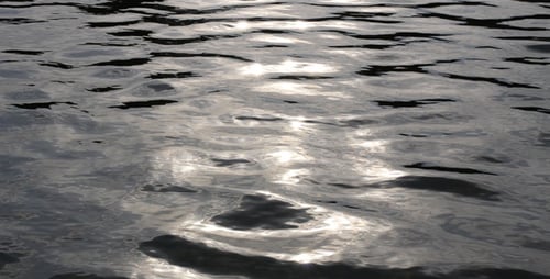 Sunlight Reflecting on Rippling Water Surface