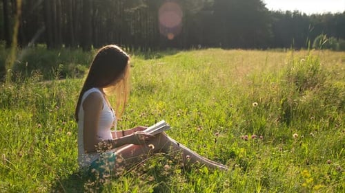 Woman Reads Book in Grassy Field on Sunny Day