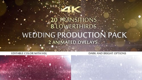 Elegant Particle Effects Pack