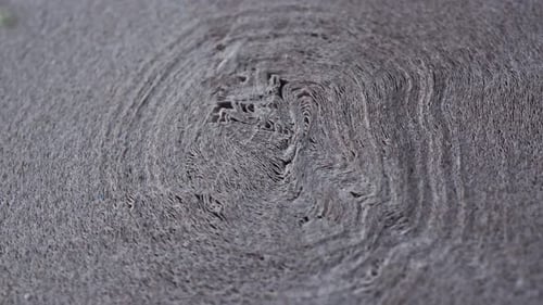 Rotating Paper Roll