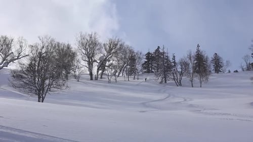 Skier Descends Snowy Hill on Sunny Winter Day