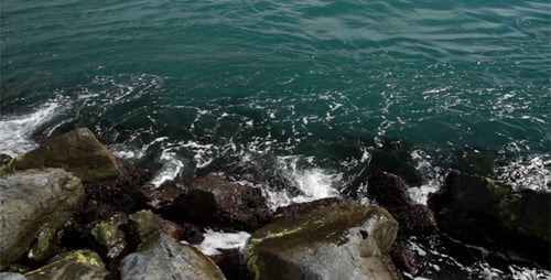 Seacoast