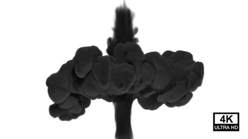 Black Ink Fluid Dissolve Reveal