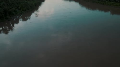 La inclinación de los Zumbido revela el poderoso río Amazonas rodeado de una selva tropical prístina