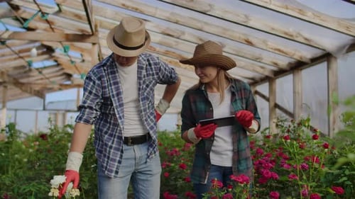 Rose Farmers Inspecting Crop with Tablet Technology