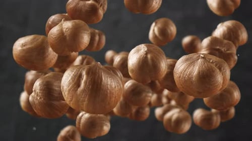 Realistic Falling Hazelnuts Animated Clip