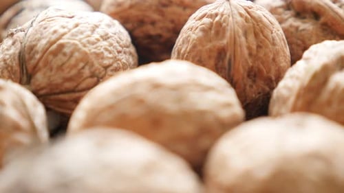 Close-Up View of Pile of Walnuts
