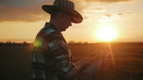 Farmer Using Tablet in Golden Field at Sunset