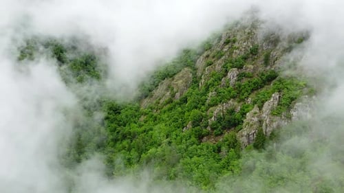 Summer Forest in Mountain Nature Top Down Aerial View Fly Over Clouds Beautiful Natural Background