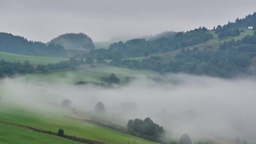 Un brouillard dense se déplace sur le paysage rural avec des prairies et des arbres herbeux, 4K