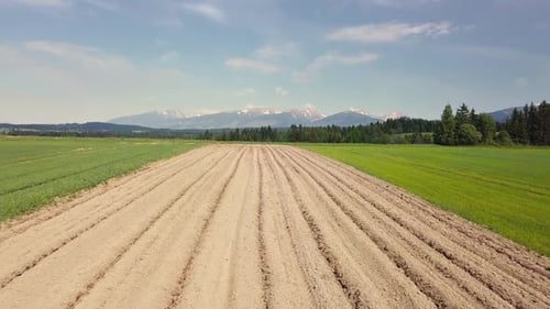 Luftaufnahme des gepflügten Nahrungsfeldes unter den Alpenbergen im ländlichen Bauernland