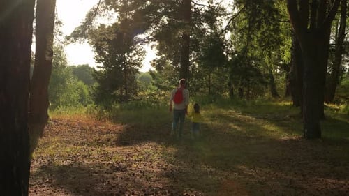 Family Walk in Forest on Sunset People in Summer Hike Tourism and Travel