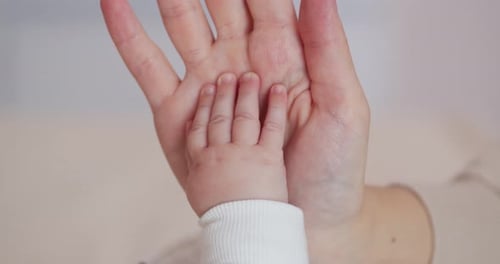 Infant Hand Resting Gently in Parent's Palm