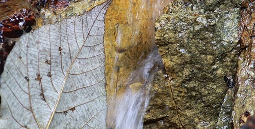 Small Natural Waterfall 03 - Zooming in