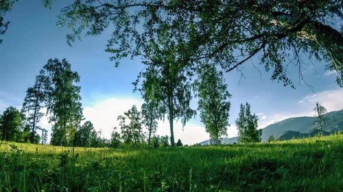 Mountain Meadow Time-lapse at the Summer or Autumn Time. Wild Nature and Rural Field. Motorised