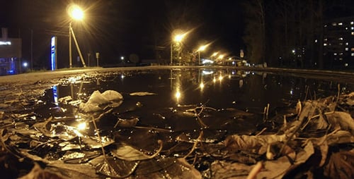 Puddle Time Lapse