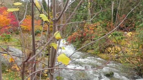 Stromschnellen, die im Herbst flussabwärts fließen 01