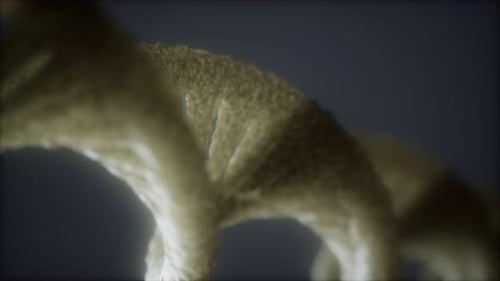 Loop Double Helical Structure of Dna Strand Close-up Animation