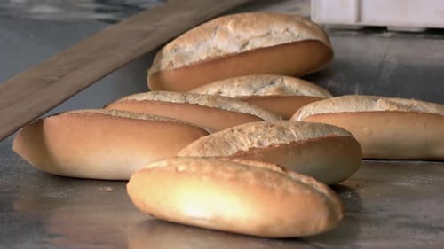 Frisch gebackene Brotlaibe auf dem Backblech in der Bäckerei