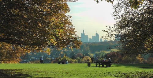 Sonniger Tag im Park