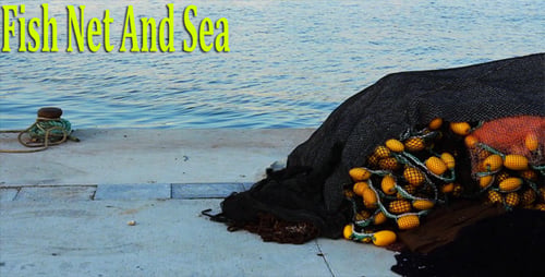 Fish Net And Sea