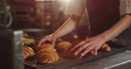 Baker Arranging Freshly Baked Croissants on Tray