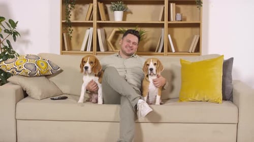 Man Smiling with Two Beagle Dogs on Sofa