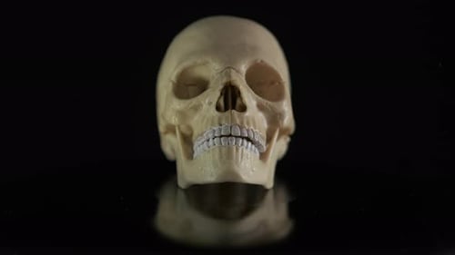 Halloween Skull Death