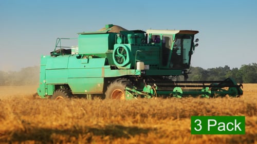 Harvesters In A Golden Field (3-Pack)