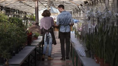 Caucasian Gardener in Shirt and Green Apron Carrying Carton Box with Pink Flowers Plants While