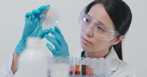 Scientist making observation at petri dish