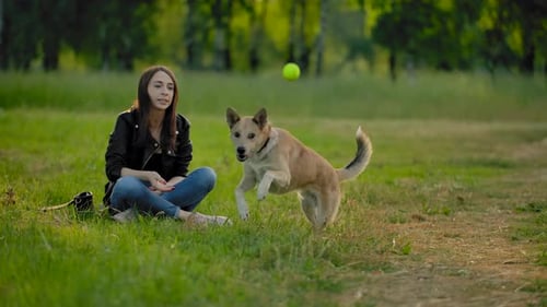 Woman Plays Fetch with Energetic Dog in Park