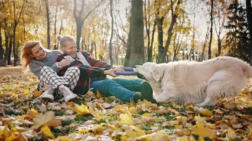 Couple and Dog Playing in Autumn Park