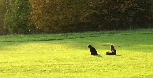 Woman and Dog Enjoying the Sunset on Grass