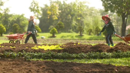 Making Garden